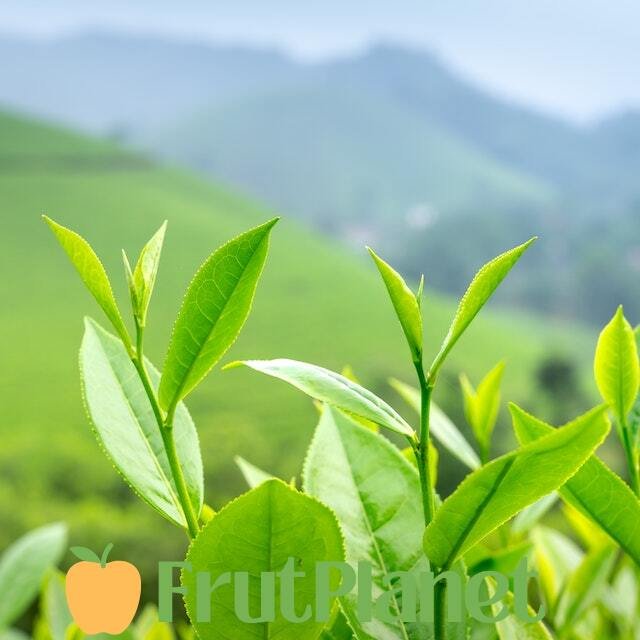 How to Buy Tea Online: A Step-by-Step Guide