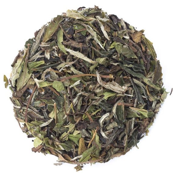 The Benefits of Choosing a Wholesale Tea Supplier