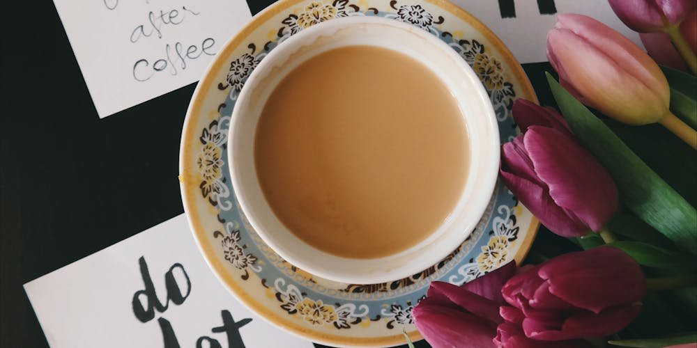 top affordable green tea brands to try 67b7f6b62ea16.jpg