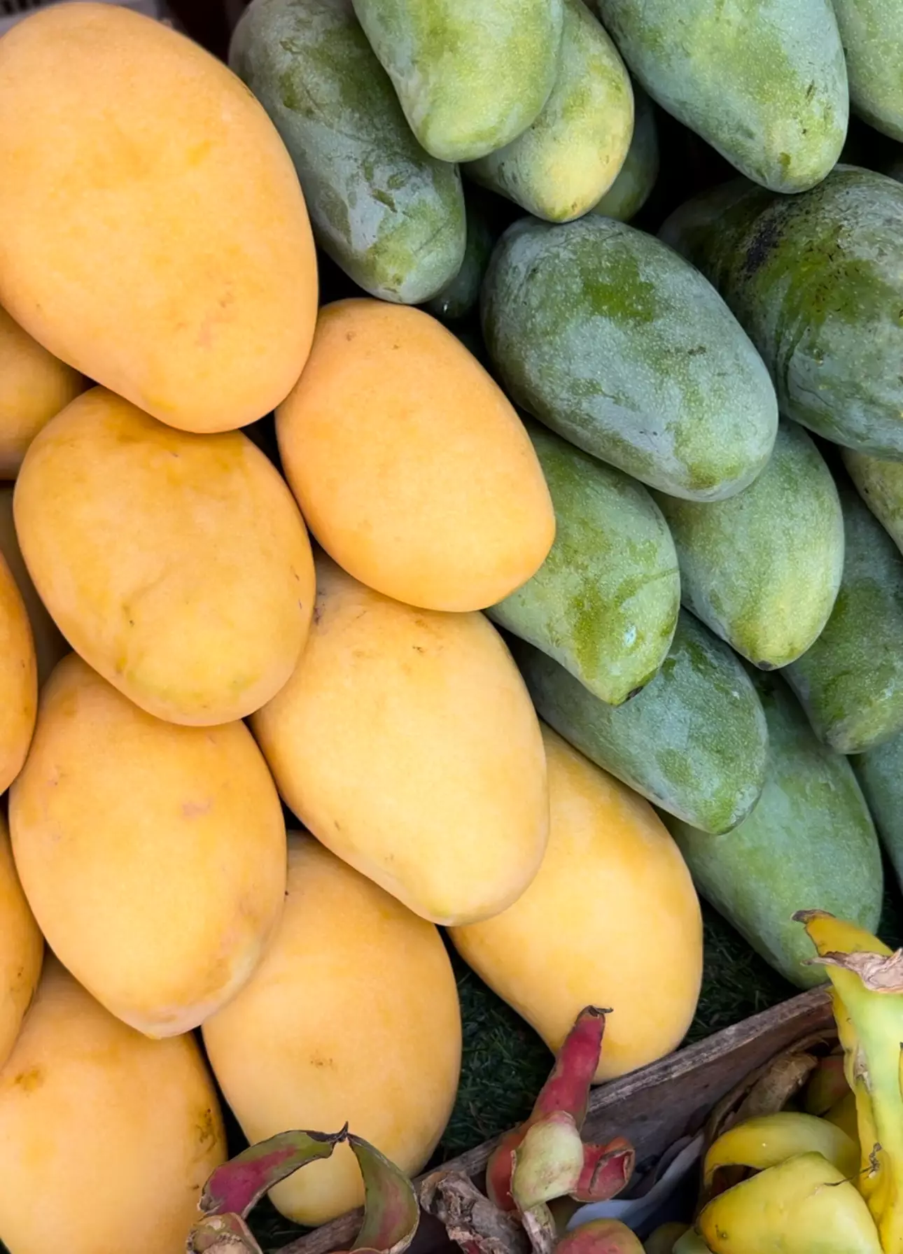 Top Affordable Green Tea Brands to Try