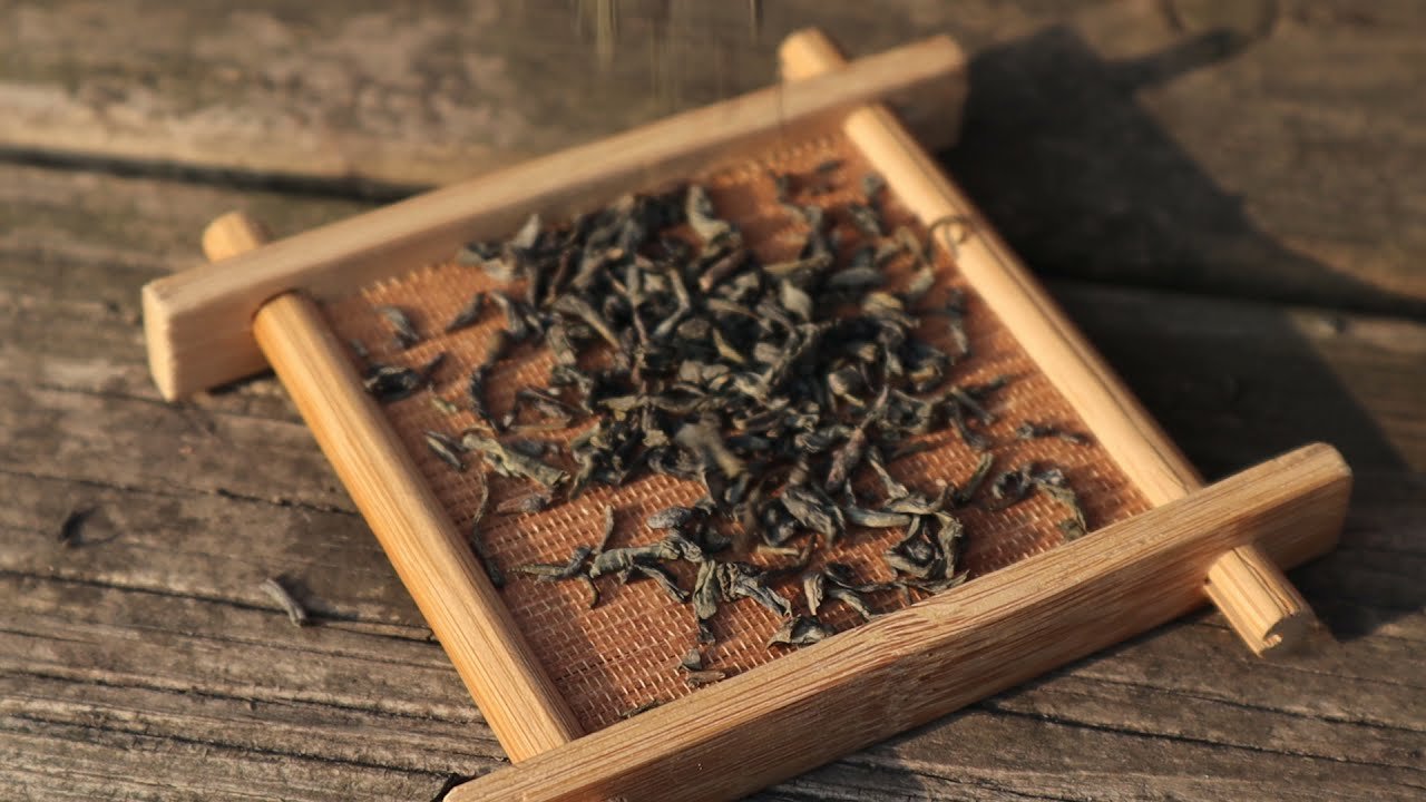 Top Green Tea Wholesalers in the Market