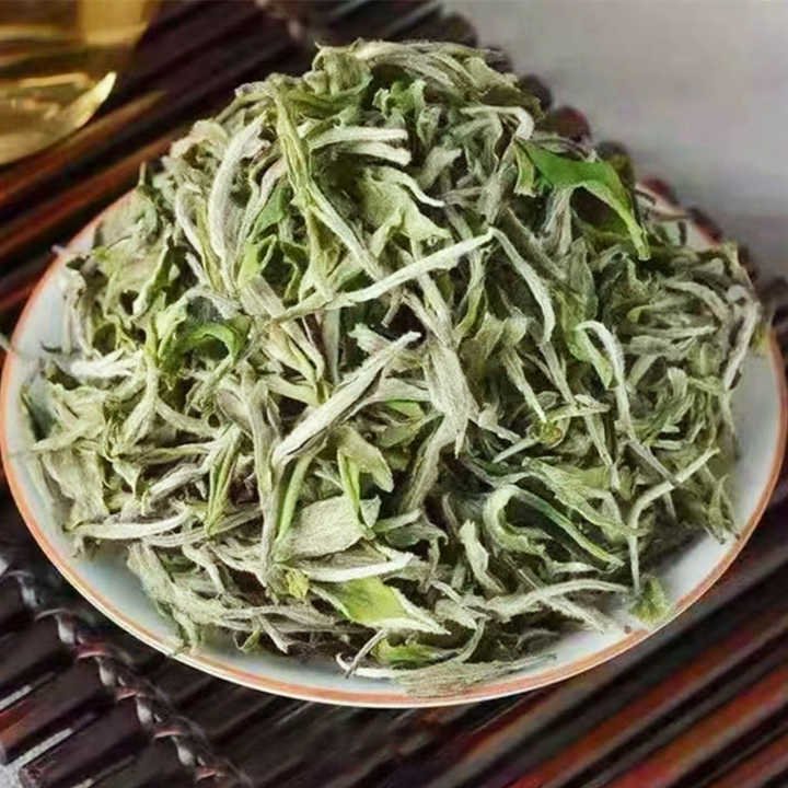 Top Green Tea Wholesalers in the Market