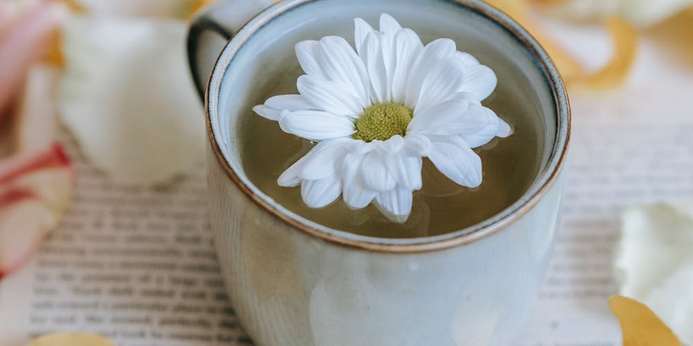 top reliable white tea suppliers 67b81f5f4aa5a.jpg