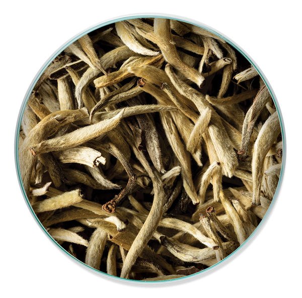 Top Reliable White Tea Suppliers