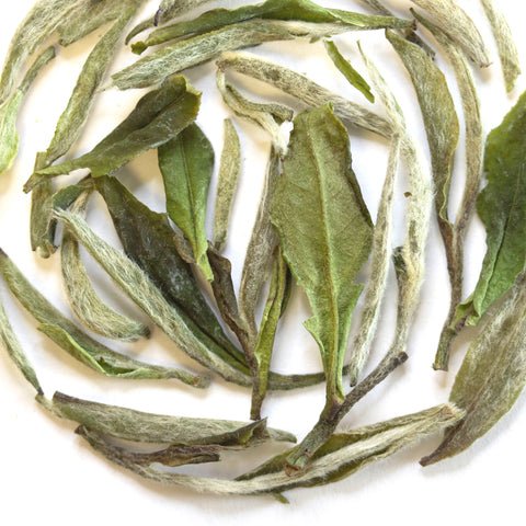 Top Reliable White Tea Suppliers