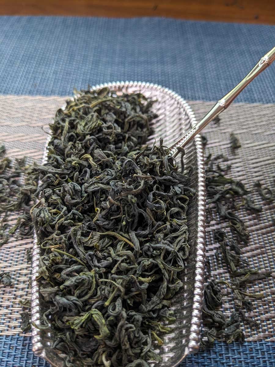 rizhao green tea from shandong rizhao green tea from shandong