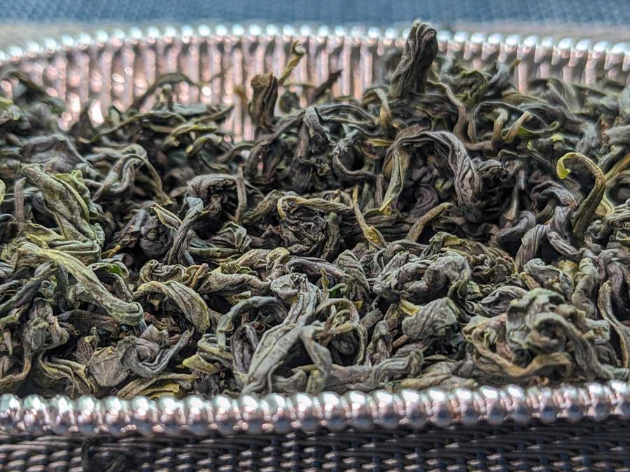 rizhao green tea from shandong rizhao green tea from shandong