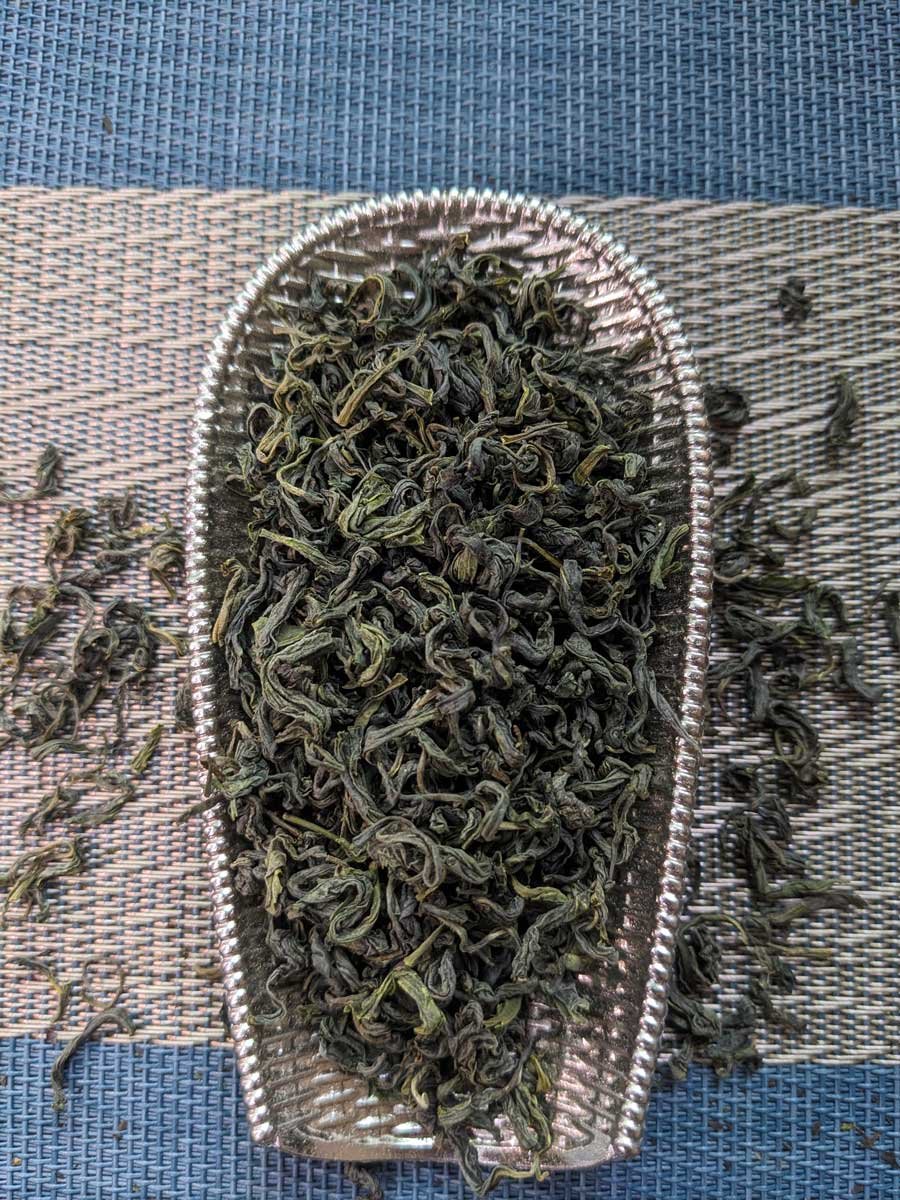 rizhao green tea from shandong rizhao green tea from shandong