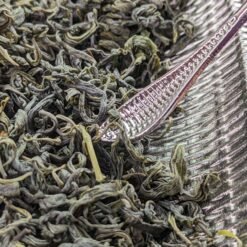 tender spring buds of pre ming rizhao green tea from shandong