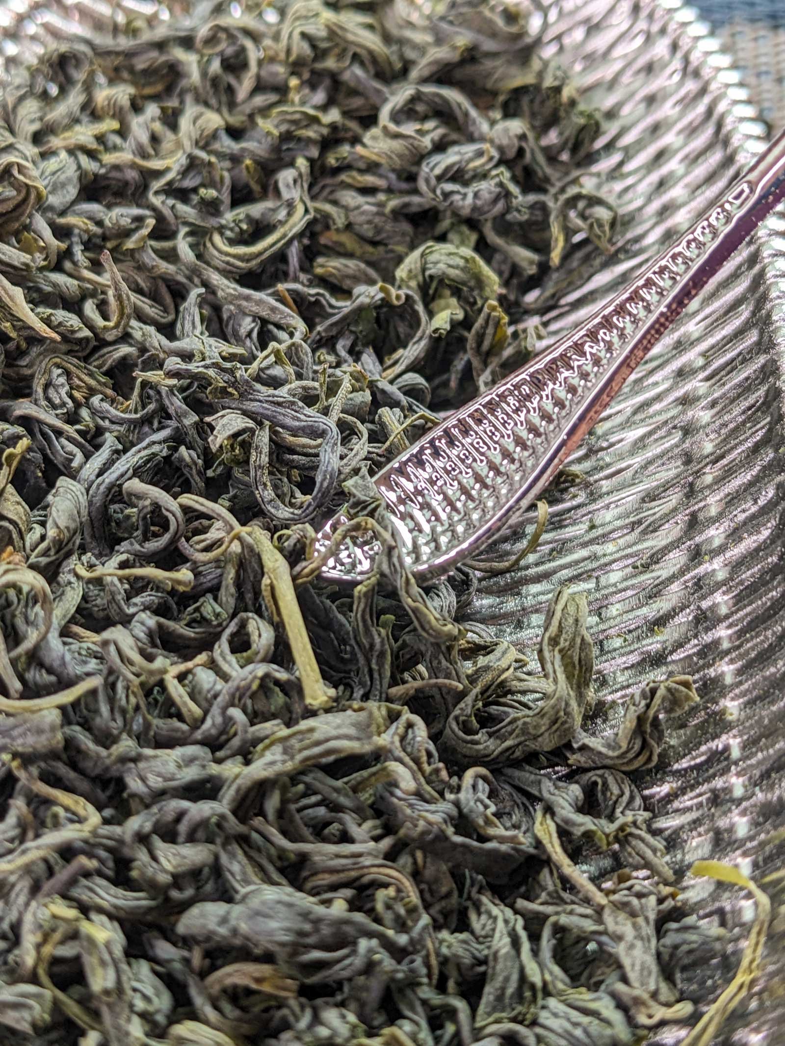 tender spring buds of pre ming rizhao green tea from shandong tender spring buds of pre ming rizhao green tea from shandong