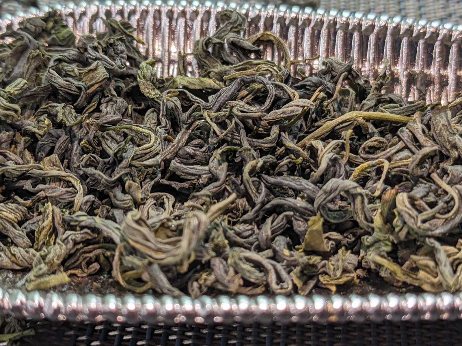 tender spring buds of pre ming rizhao green tea from shandong tender spring buds of pre ming rizhao green tea from shandong