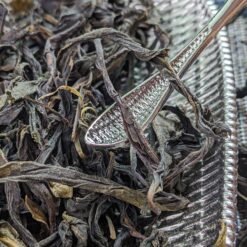 phoenix dan cong tea oolong tea