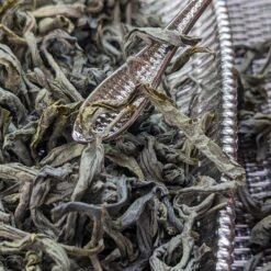 yingde chestnut scented high mountain green tea